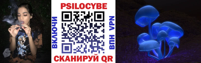 маркетплейс как зайти Горно-Алтайск Псилоцибиновые грибы мицелий