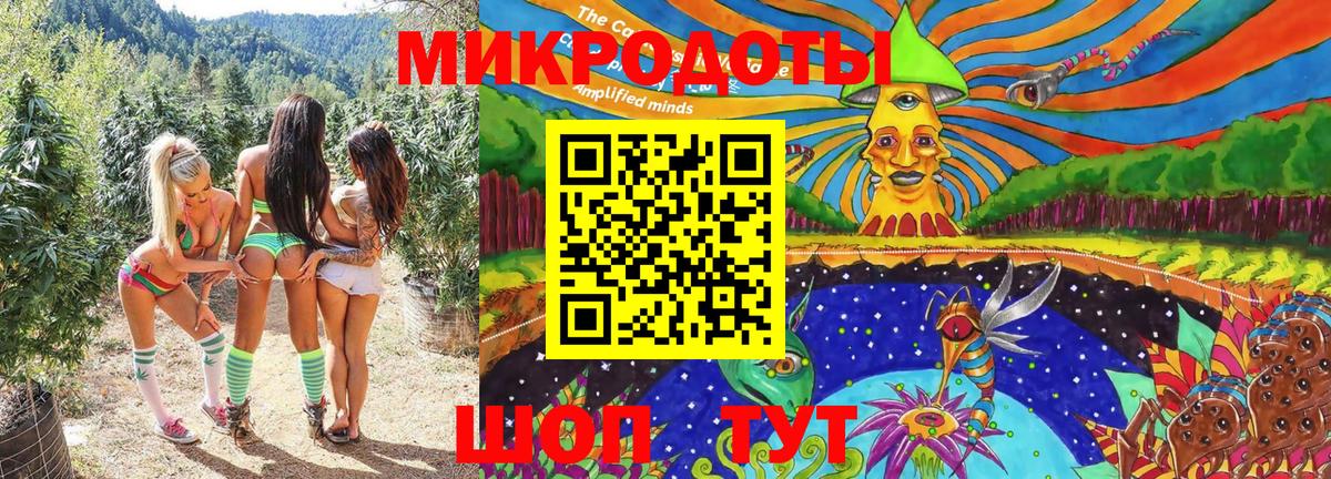 Псилоцибиновые грибы прущие грибы  Вход с VPN  Горно-Алтайск 